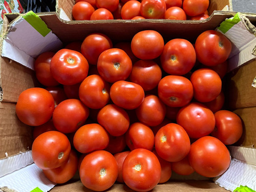 Fresh Plum Tomato Large Carton
