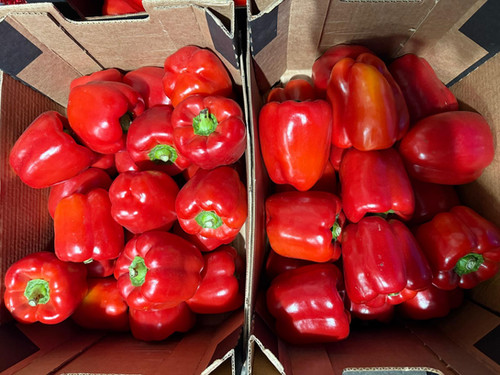 Red Bell Pepper Large Carton