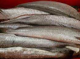 Frozen Hake Fish 1kg packaging