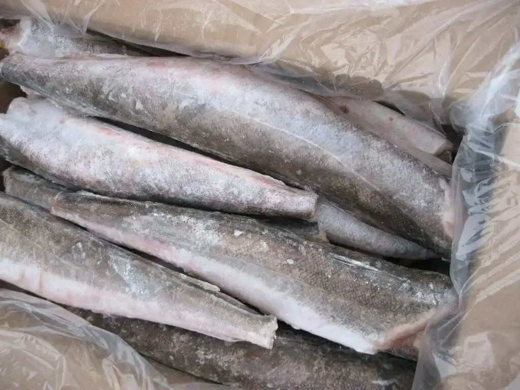 Frozen Hake Fish 1kg packaging