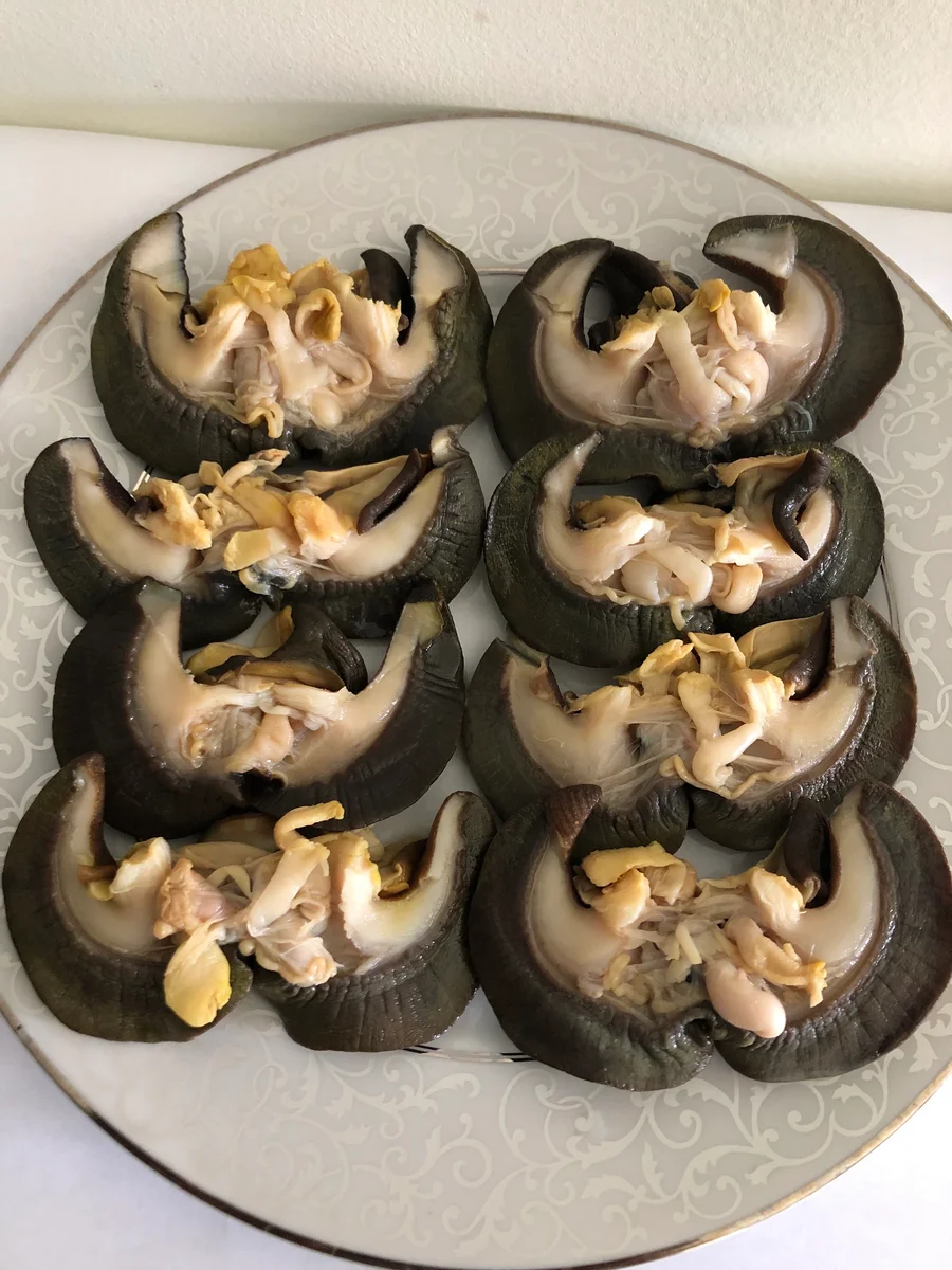 Frozen Snails 250g